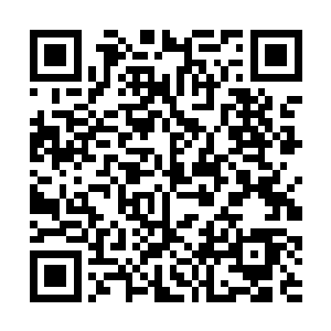 剧组也证实了雨果在拍摄期间经历了表演瓶颈的传言二维码生成