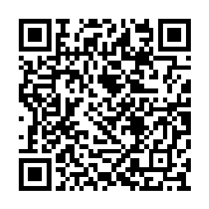 剧组的成员都是对张东城无休止的讨论中度过的二维码生成