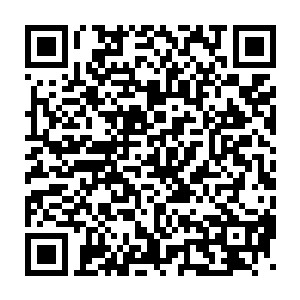 剩下的百分之九十九点的九的修士都选择压在了林大圣不会去救上面二维码生成