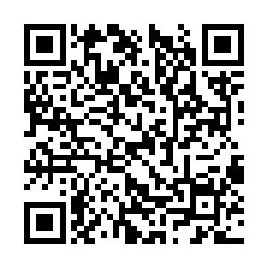 剩下的血液即便用普通的水来形容他也是毫不为过二维码生成