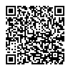 加上年轻人不能辨别是非的冲动性让他们很容易被各种似是而非的口号理由吸引二维码生成