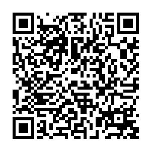 加上梓箐这两个月刻意在药物里面加了一些有助伤口糜烂以及残留疤痕的药物二维码生成