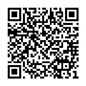 加上王安和童童两个徒弟又是在丁主任的身边了二维码生成