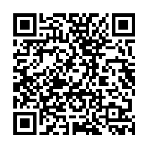 加文纳所谓的最后一刻就是那二十多门有工事守护的炮台二维码生成