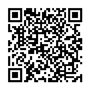 动的绿丝带正在商议要不要冲上楼去抢夺枪支占领大楼二维码生成