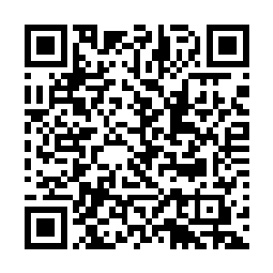 努力的表达着自己不会再做一只女一se一狼的打算二维码生成