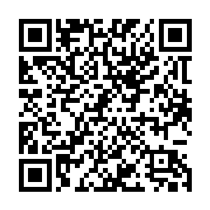 劳伦只不过是看在他是自己的崇拜者顺带着一起邀来的罢了二维码生成