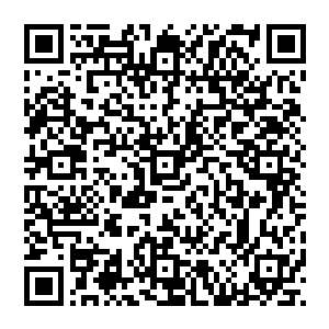 劳伦斯同样皱着眉头 他很不满 因为自己已经來游说了好几天了 但是黑joker却始终不同意去刺杀伊莎贝拉二维码生成