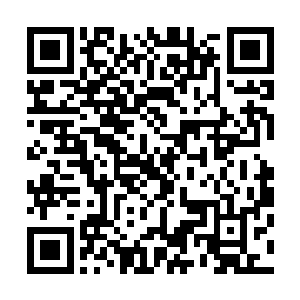 包括两个辅导员都没有注意到站在大阶梯教室后门的几个入二维码生成