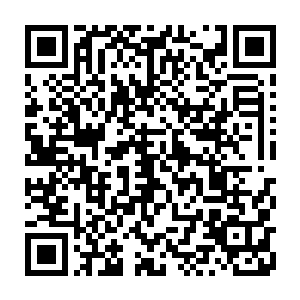 包括刚刚收下了秦方的昆仑派……也真没有指望秦方跟李无花争夺第一名的二维码生成