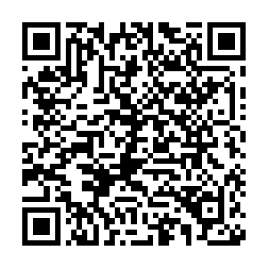 包括那位长生宗的聚星上境长老还有秋山家那位实力深不可测的供奉二维码生成