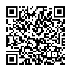 包括隐藏在我们小队中的几位善于搜索感应的领域强者二维码生成