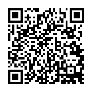 匕首已经擦过非空的左脸狠狠的扎在树屋的木头上二维码生成