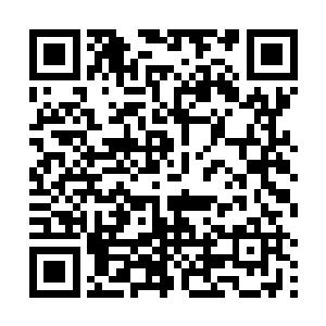 化为无数寒冰碎片和强烈的雷电光辉朝着四周激荡而去二维码生成