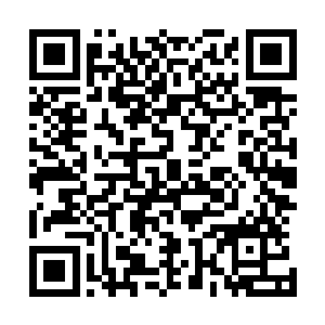 化作本体的象鸿便飞快的朝着刻画符箓的中年男子冲了过去二维码生成