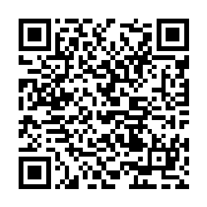 化成流星巨石的任幽草自然也察觉到了海圣的异变二维码生成