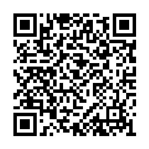 化神期修为的修真者在修真界都属于顶峰存在了二维码生成