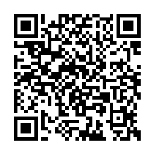 北唐家的星舰要求离港的申请被传达到了迈尔发二维码生成