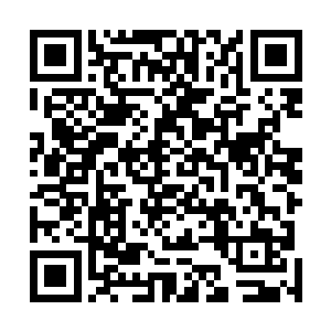北境王后和几位公主王子的骨灰被赫兰公主带回北境去了二维码生成