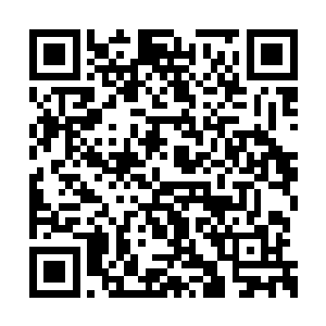 北小离和文怡经过这几天也有了很强大的抵抗力二维码生成