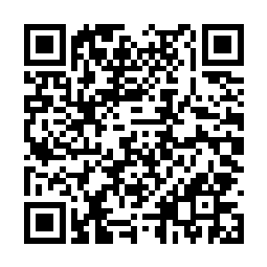 北斗会已经成为了明珠市地下世界的最庞大的势力二维码生成