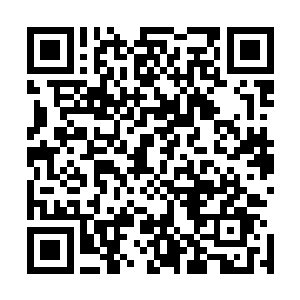 北辰睿自是满心欢喜地和慕容宰相挤到一堆去看自己的侄儿二维码生成