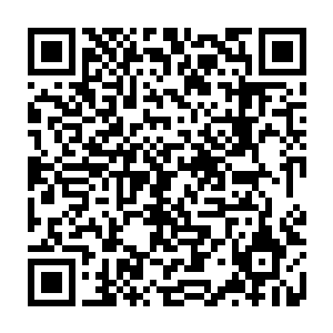 匣子里最后一发暴雨梨花针一根不落的射到了苏醉蝶原本帮着暗器的手臂上二维码生成