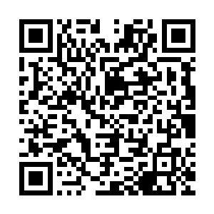 医院的专家组无论使用什么样的方法都没办法让他变得健康起来二维码生成