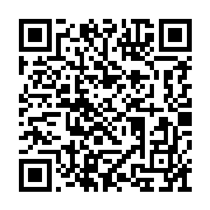 医院组成的专家组大年三十还趴在实验室搞研究二维码生成