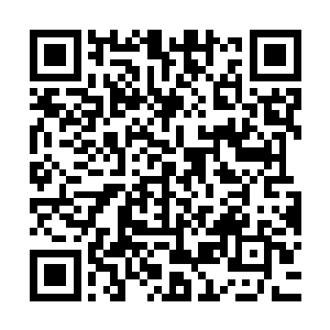 十几个超大的啤酒杯盛着这些现榨的果汁五颜六色的呈现在眼前二维码生成