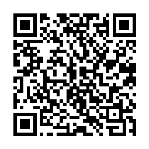 十几名猎人一刻也不停留地越过灰狼的尸体追了上去二维码生成