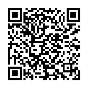 十几名骨科权威专家看着颈椎正侧位片和颈椎核磁共振成像二维码生成