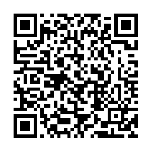 十几年前张潇晗刚飞升的时候他们彼此就互相帮助过二维码生成