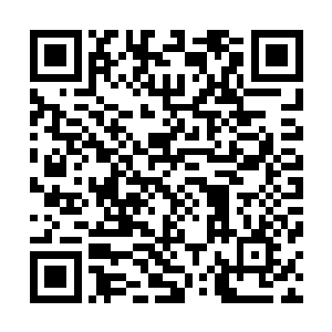 十几架飞机就已经向着清军第二十协的阵地狠狠的扑了下来二维码生成