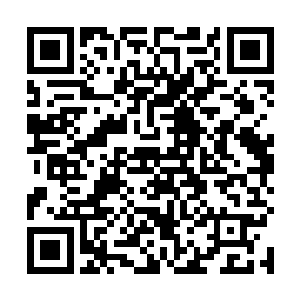 十几道黑衣人的身影出现在了上方不远处的巨石的上面二维码生成