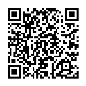 千夜从波图收藏的其它种族武器中挑了两把血族的五级短二维码生成