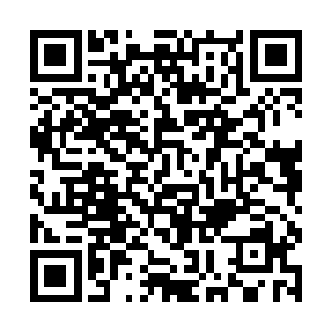 千夜此刻独自占据了镇墙上临时搭建的一处射击掩体二维码生成