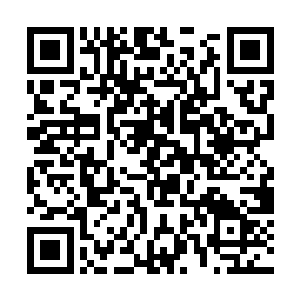 千夜的佣兵团也从魏柏年这里得到了第一份委托协议二维码生成