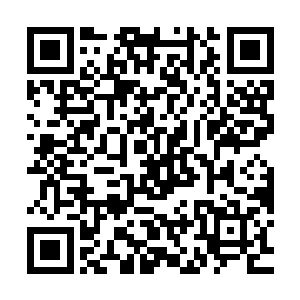 千山暮雪看着代离这厮很土豪气息得买了十几本不知所谓得书籍二维码生成