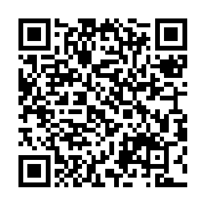 千景门长老说完之后双脚用尽全力的踩在了夏天的手臂之上二维码生成