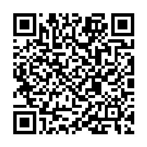 升级所需的经验值上限就发生了和十级时一样的质变二维码生成