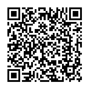 半个小时后再去敲门仍然没有人应声――我就在酒店开了一间房间二维码生成