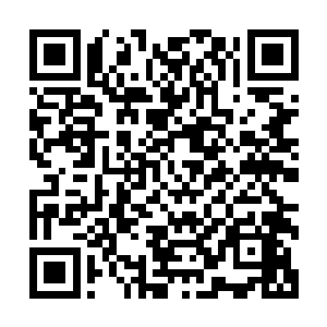 半个月内是绝无可能将四大传承武技提升到第六重巅峰境界的二维码生成