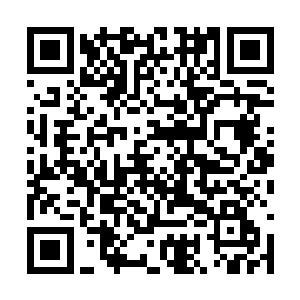 半天时间也算是给自己折腾出一个初具模样的家了二维码生成