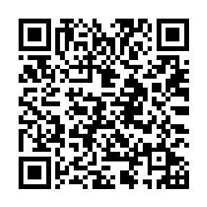 半岛的丧尸再一次的对白熊国和神州展开了疯狂的进攻二维码生成