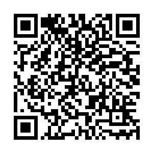 华夏九自从上次在黄树门渡出窍天劫时引来界域神将之事后二维码生成