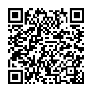 华夏军的士兵们在高原上打磨着他们的体魄与意志二维码生成