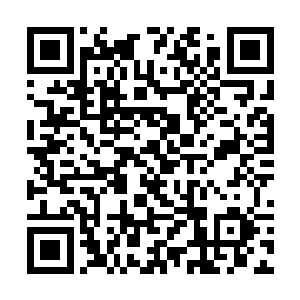 华夏电视台方面把这一次两部电视剧之间的收视大战二维码生成