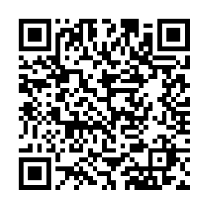 华夏高层对于四大家族如今的行为已经十分的不满了二维码生成