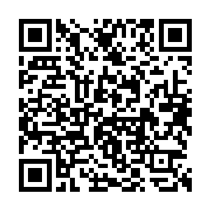 华无霸从须臾带中拿出一颗血色丹药递给沈凡道二维码生成